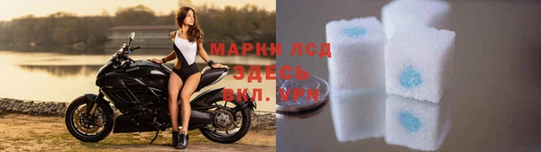 амф Липки